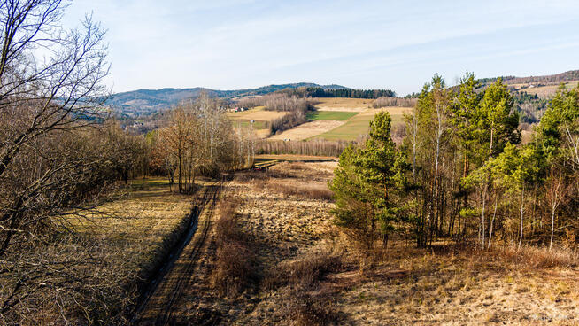 Działka leśna- Olszowa-Zakliczyn -Małopolska