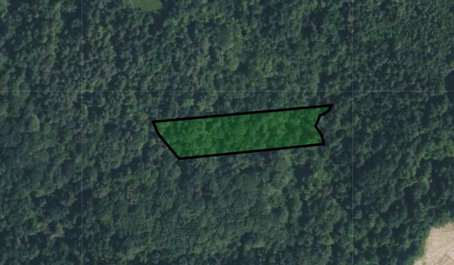 Działka leśna- Olszowa-Zakliczyn -Małopolska