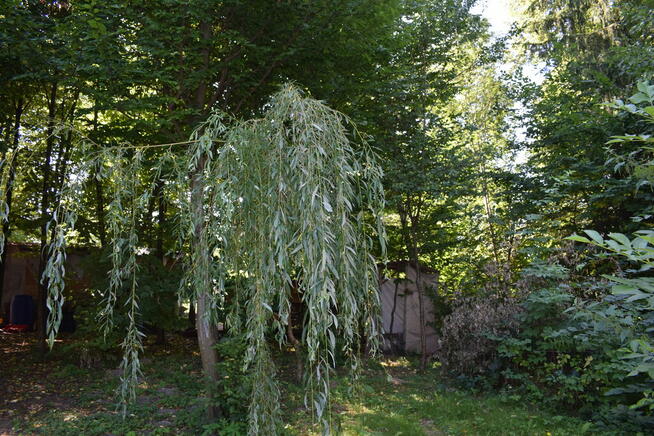 Dom- bliźniak 153m2 w miejscowości Bircza