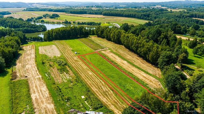 Działka z projektem domu nad zalewem w Skrzyszowie