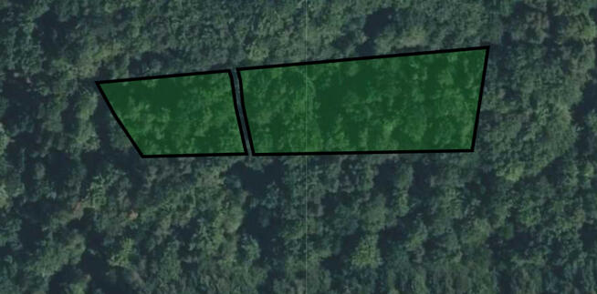 Działki leśne- Olszowa-Zakliczyn -Małopolska