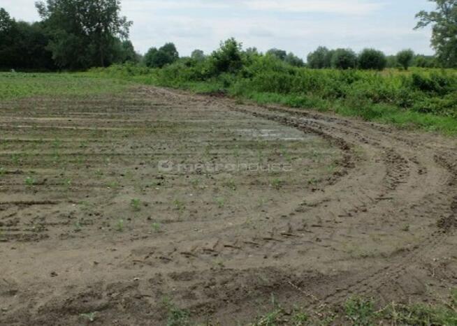 Działka rolna w Gniewniewicach Folwarcznych