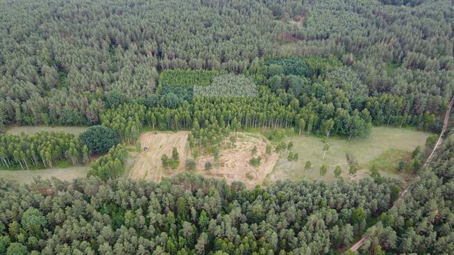 Działka rolna Dzierniakowo gm. Gródek