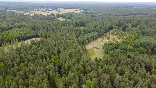 Działka rolna Dzierniakowo gm. Gródek