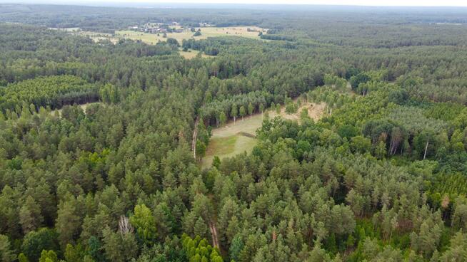Działka rolna Dzierniakowo gm. Gródek