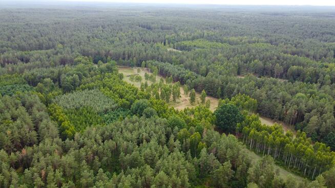 Działka rolna Dzierniakowo gm. Gródek