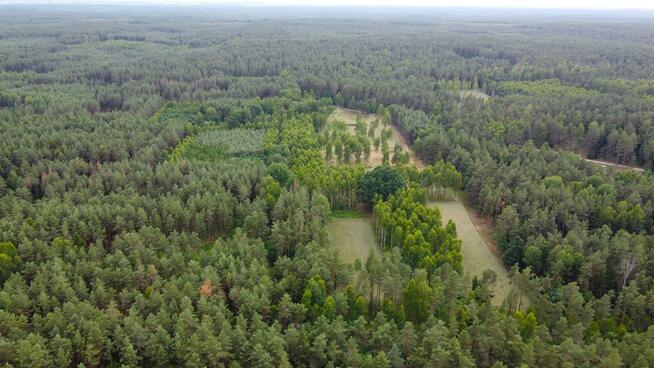 Działka rolna Dzierniakowo gm. Gródek