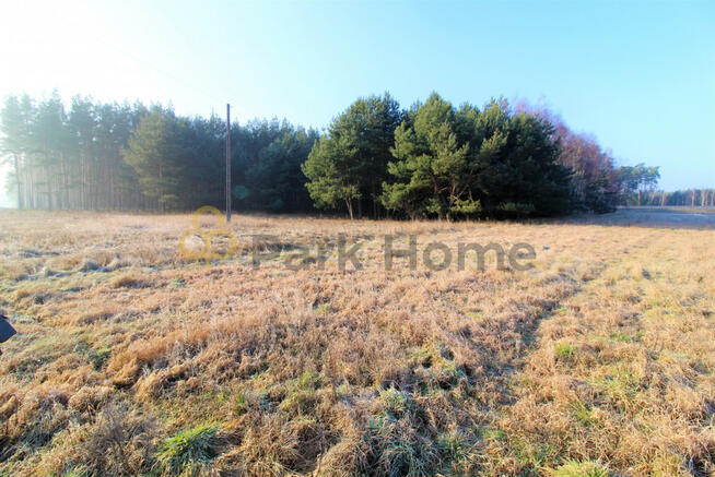 Działka rolna Nowa Sól Zakęcie,