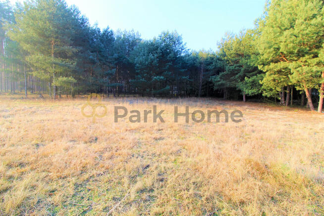 Działka rolna Nowa Sól Zakęcie,