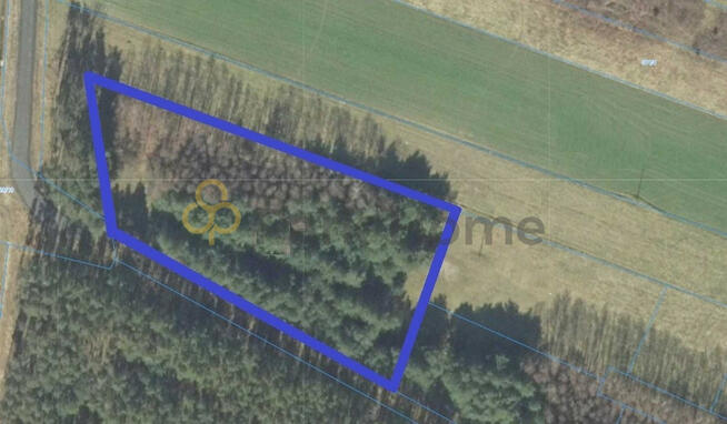 Działka rolna Nowa Sól Zakęcie,