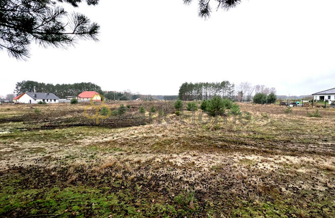 Działka rolna Stany gm. Nowa Sól, Stany