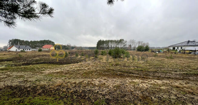 Działka rolna Stany gm. Nowa Sól,