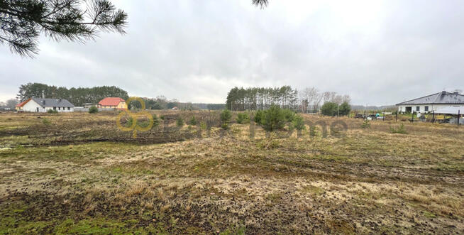 Działka rolna Stany gm. Nowa Sól,