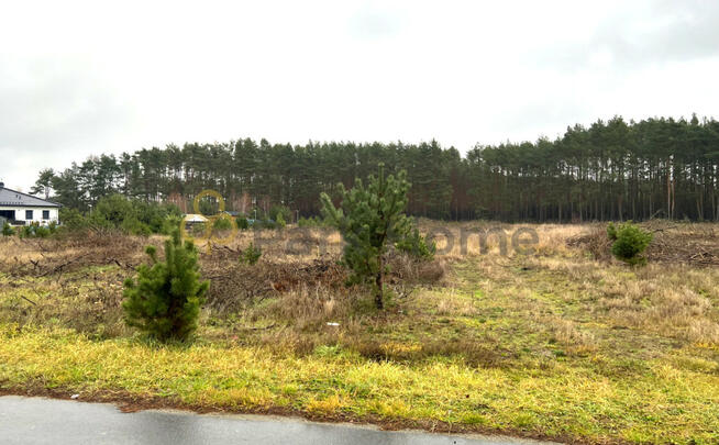 Działka rolna Stany gm. Nowa Sól,