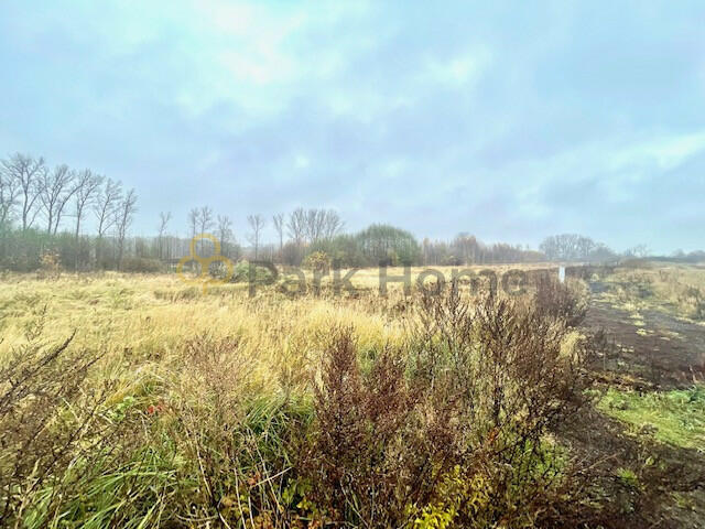Działka inwestycyjna Podbrzezie Dolne gm. Kożuchów,