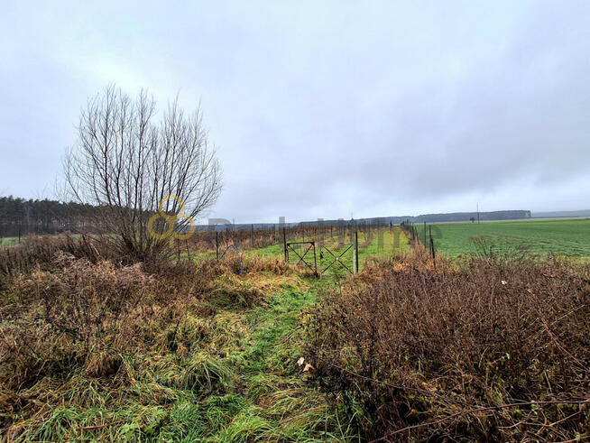 Działka rolna Nowa Jabłona gm. Niegosławice,