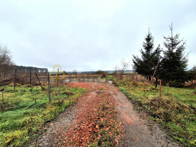 Działka rolna Nowa Jabłona gm. Niegosławice,