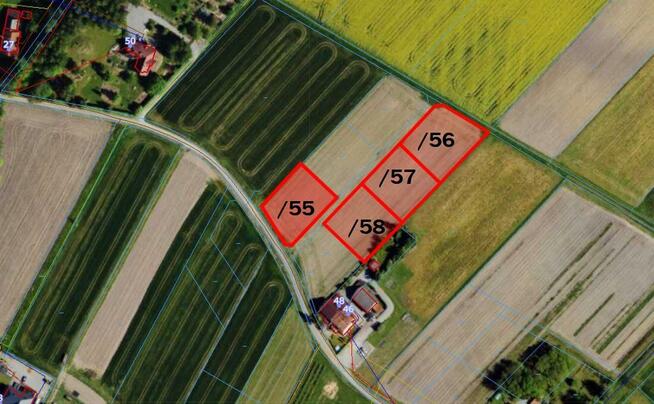 Działka budowlana Zaborze gm. Chybie, Darwina