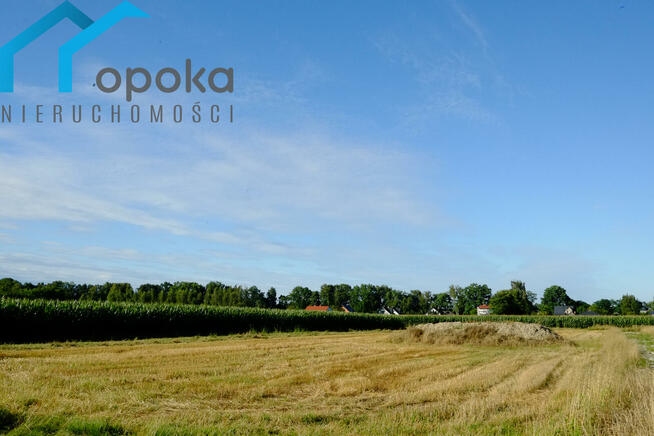 Działka budowlana Zaborze gm. Chybie, Darwina