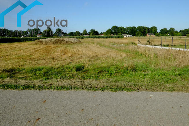 Działka budowlana Zaborze gm. Chybie, Darwina