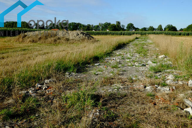 Działka budowlana Zaborze gm. Chybie, Darwina