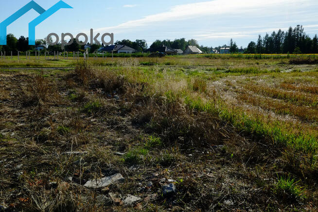 Działka budowlana Zaborze gm. Chybie, Darwina