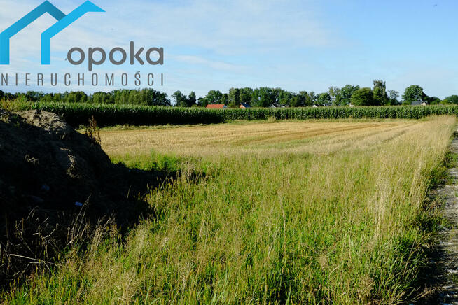 Działka budowlana Zaborze gm. Chybie, Darwina