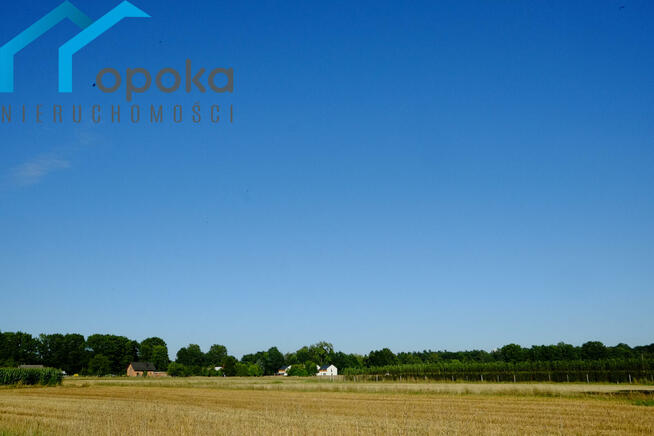 Działka budowlana Zaborze gm. Chybie, Darwina