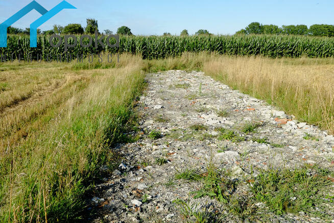 Działka budowlana Zaborze gm. Chybie, Darwina