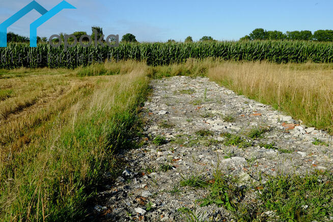 Działka budowlana Zaborze gm. Chybie, Darwina