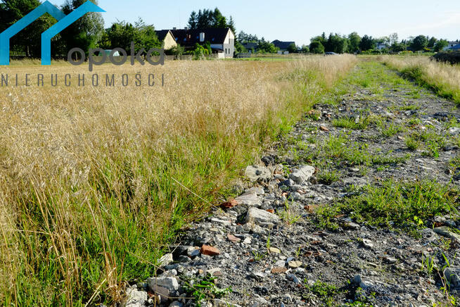 Działka budowlana Zaborze gm. Chybie, Darwina