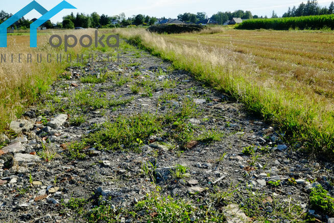 Działka budowlana Zaborze gm. Chybie, Darwina