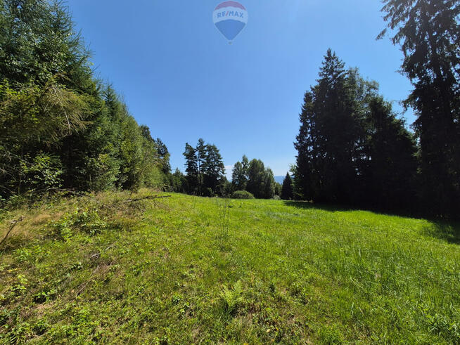 Działka budowlana z widokiem i lasem – Naprawa