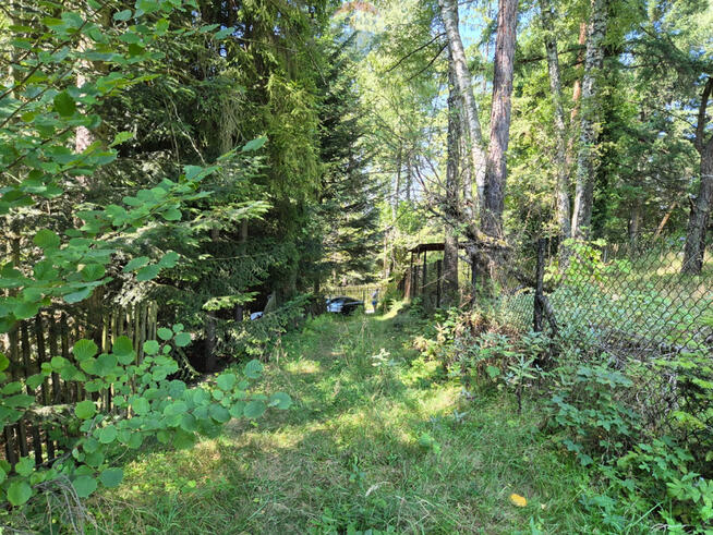 Działka budowlana z widokiem i lasem – Naprawa