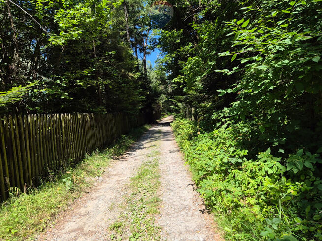 Działka budowlana z widokiem i lasem – Naprawa