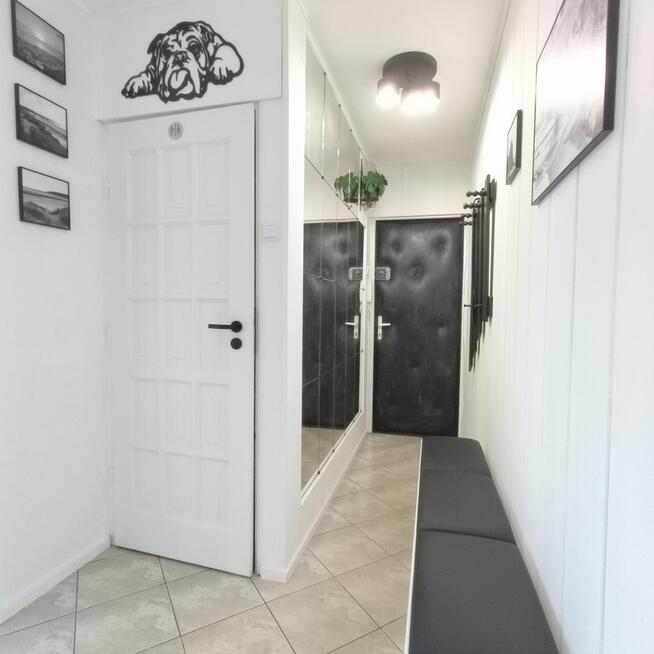 2-pokojowe mieszkanie na wynajem, Pomorzany.