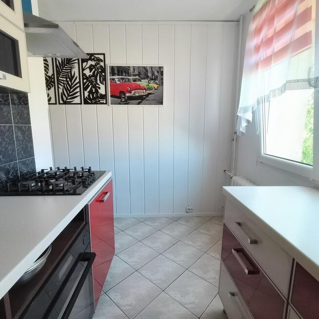 2-pokojowe mieszkanie na wynajem, Pomorzany.