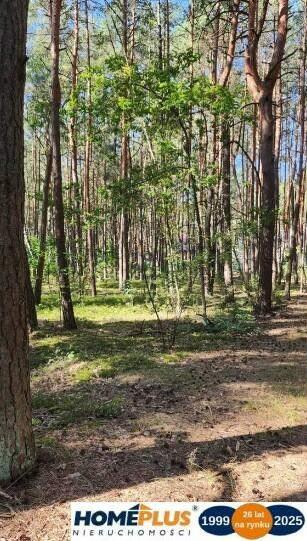 Działka budowlana 1500 m² w zielonym Radzyminie.