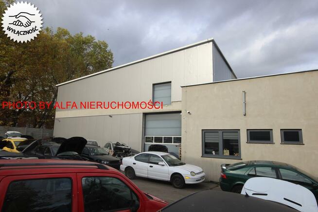 Lokal użytkowy Świdnica, okolice Centrum