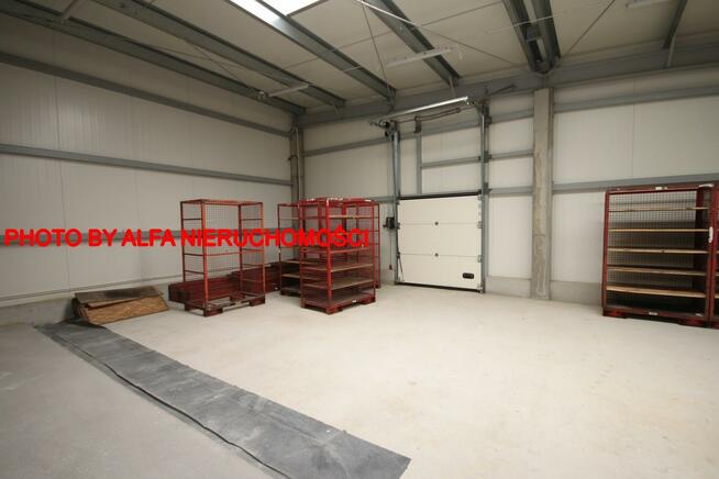 Lokal użytkowy Świdnica, okolice Centrum