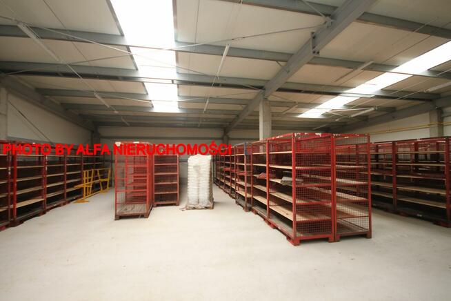 Lokal użytkowy Świdnica, okolice Centrum