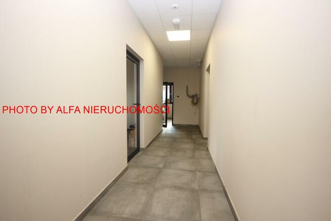 Lokal użytkowy Świdnica, okolice Centrum