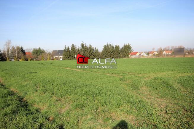 Działka budowlana Żarów