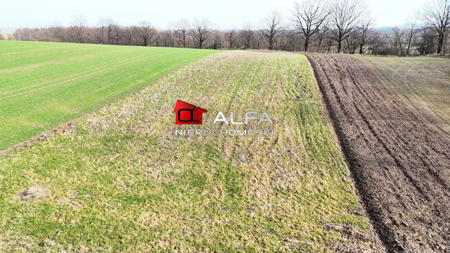 Działka budowlana Wierzbna gm. Żarów
