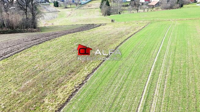 Działka budowlana Wierzbna gm. Żarów