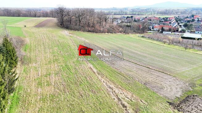 Działka budowlana Wierzbna gm. Żarów