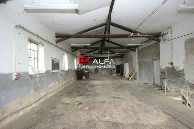 Lokal użytkowy Świdnica