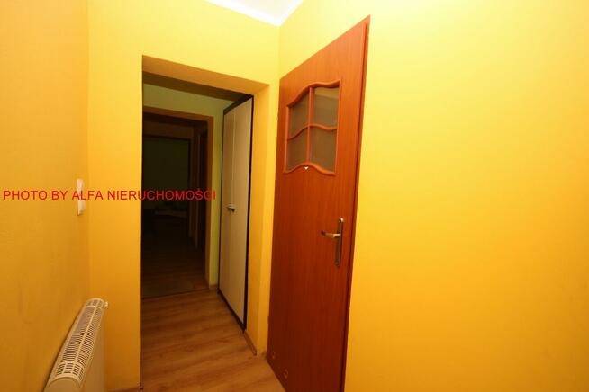 Lokal użytkowy Świdnica