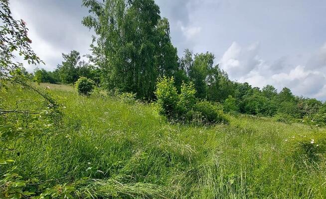 Działka budowlana Lutomia Górna