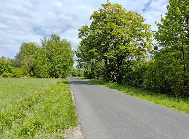 Działka budowlana Borkowice gm. Dłutów,